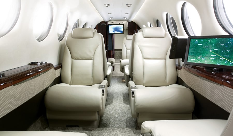 Travel with your dog in a private jet