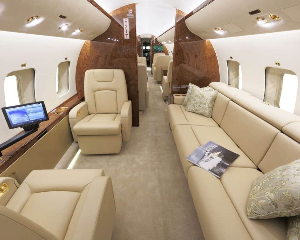 Travel with your dog in a private jet